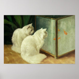 金魚を見ている白い猫 ポスター