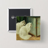 金魚を見ている白い猫 缶バッジ (正面&裏面)