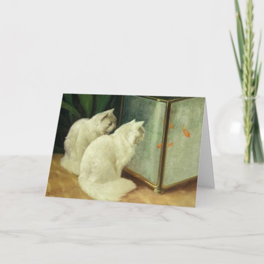 金魚を見ている白猫 カード (正面)