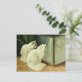 金魚を見ている白猫 ポストカード (スタンド正面)