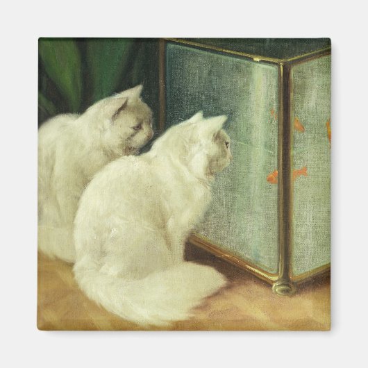 金魚を見ている白猫 マグネット (正面)