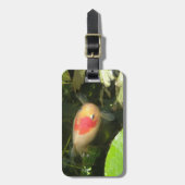 金魚カスタムの荷札 ラゲッジタグ (正面縦)