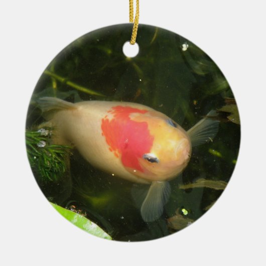 金魚カスタム誕生日 セラミックオーナメント (正面)