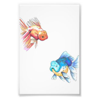 金魚カラフルプリント フォトプリント           