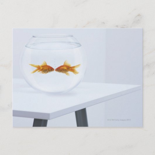 金魚キスをするを椀に盛る ポストカード (正面)