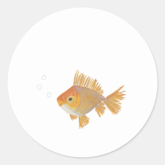 金魚シールイラストレーション ラウンドシール (正面)