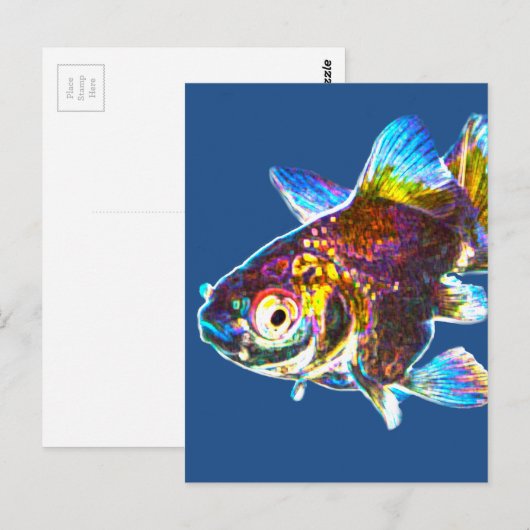 金魚ディスコ ポストカード (正面/裏面)
