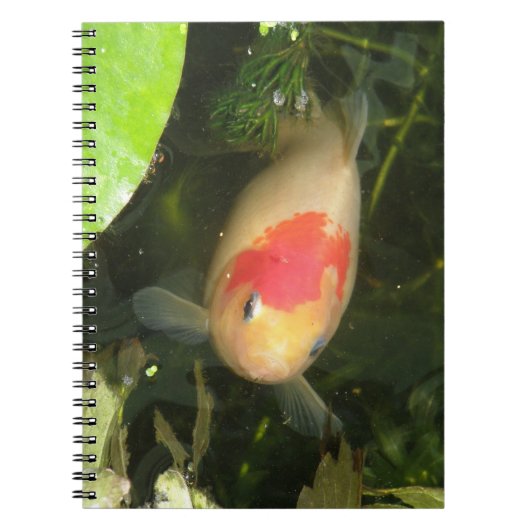 金魚ノート ノートブック (正面)