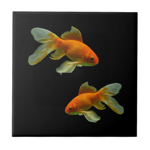 金魚ファンシー瓦 タイル