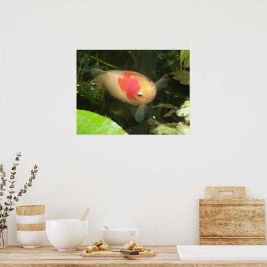 金魚プリント ポスター (キッチン)