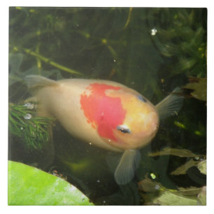 金魚瓦 タイル
