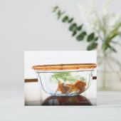 金魚鉢 ポストカード (スタンド正面)