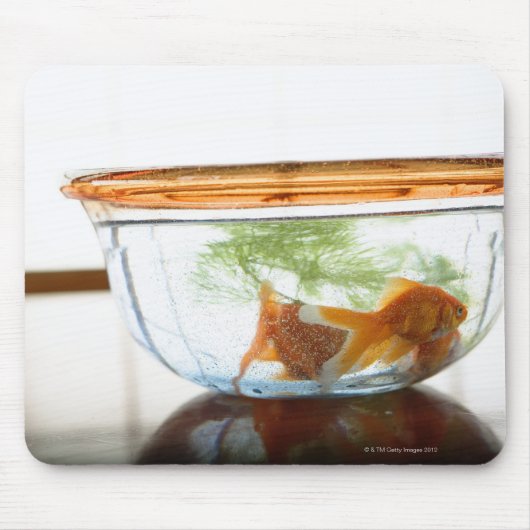 金魚鉢 マウスパッド (正面)