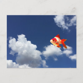 金魚飛んでいる ポストカード