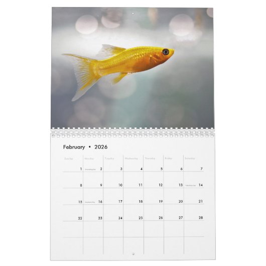 金魚2025 カレンダー (2月 2026)