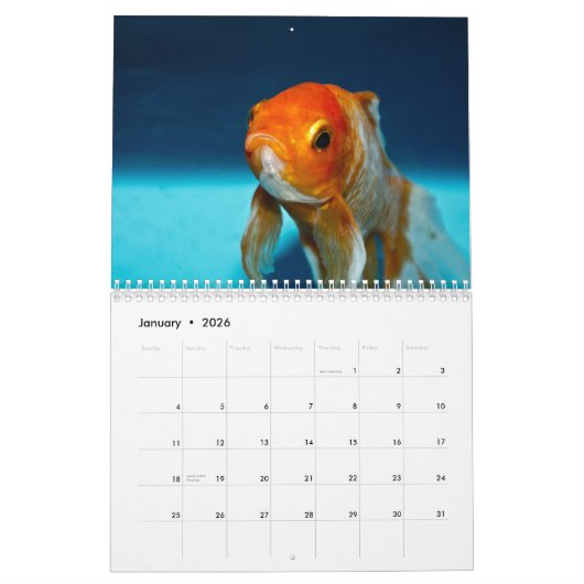 金魚2025 カレンダー (1月 2026)