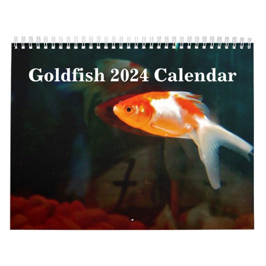 金魚2025 カレンダー (カバー)