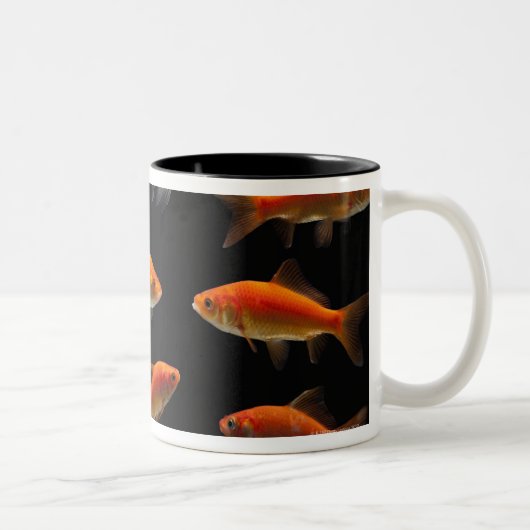 金魚2 ツートーンマグカップ (右)