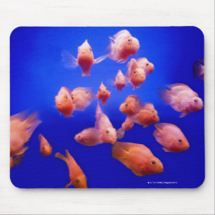 金魚2 マウスパッド