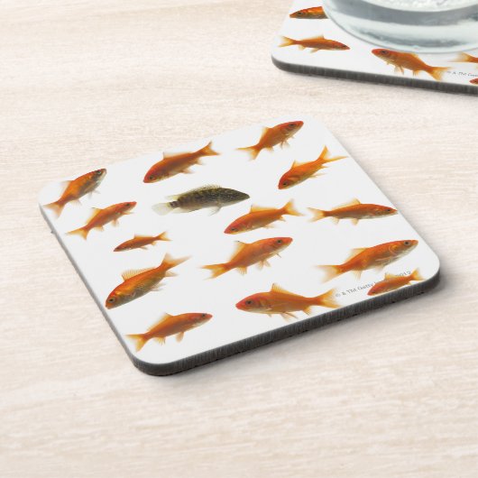 金魚3 コースター (左側)