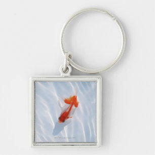 金魚5 キーホルダー