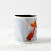 金魚5 ツートーンマグカップ (中央)