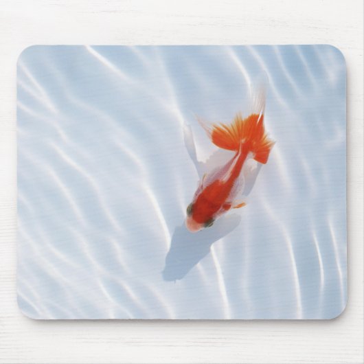 金魚5 マウスパッド (正面)
