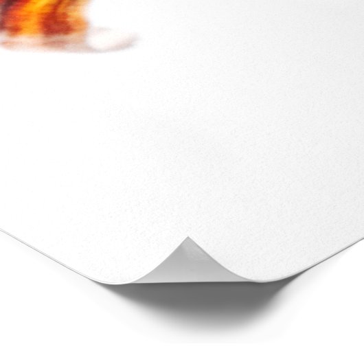 金魚（カラシウス） ポスター (角)