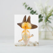 金魚（カラシナ） 2 ポストカード (スタンド正面)