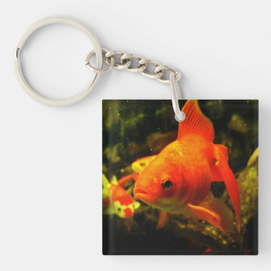 金魚 キーホルダー (正面)