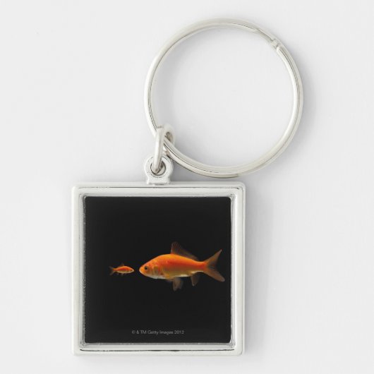 金魚 キーホルダー (正面)