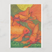 金魚 – コイ ポストカード (正面)