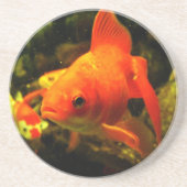 金魚 コースター (正面)