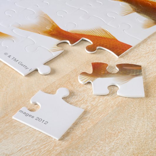 金魚 ジグソーパズル (側面)