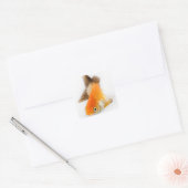 金魚 スクエアシール (封筒)