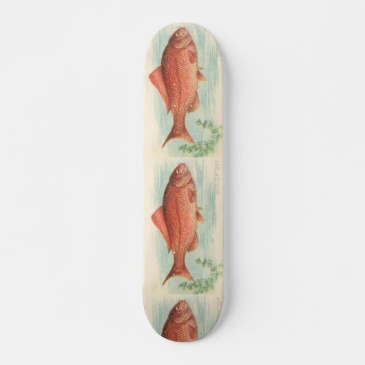 金魚 スケートボード (正面)