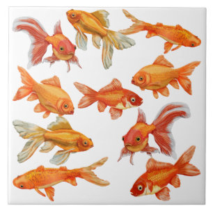金魚 タイル
