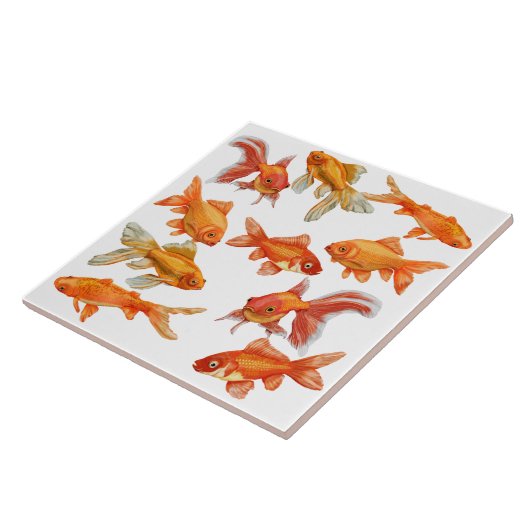 金魚 タイル (側面)