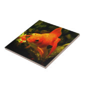 金魚 タイル (側面)