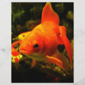 金魚 チラシ (正面)