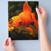 金魚 チラシ (手)