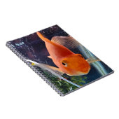 金魚 ノートブック (右側)