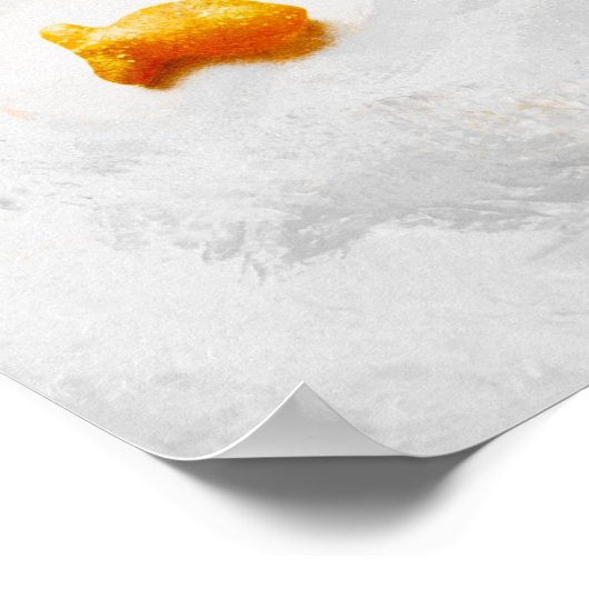 金魚 ポスター (角)