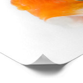 金魚 ポスター (角)