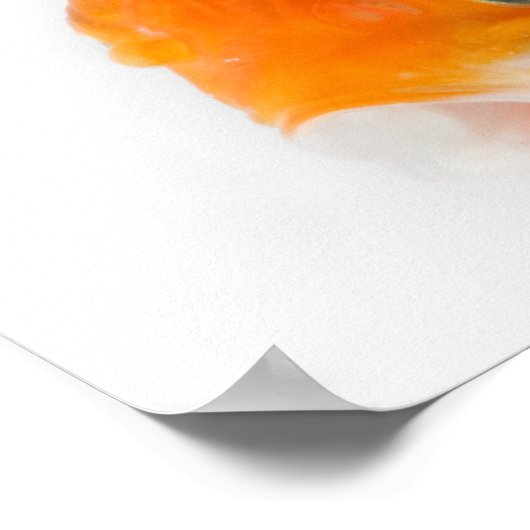 金魚 ポスター (角)