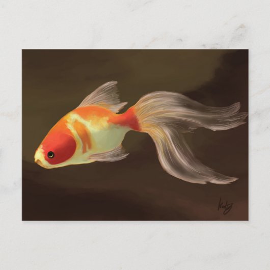 金魚 ポストカード (正面)