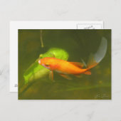 金魚 ポストカード (正面/裏面)