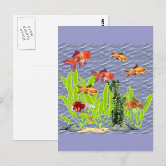 金魚 ポストカード (正面/裏面)