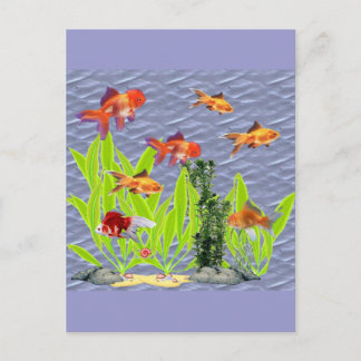 金魚 ポストカード