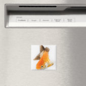 金魚 マグネット (インサイチュ (食洗機))